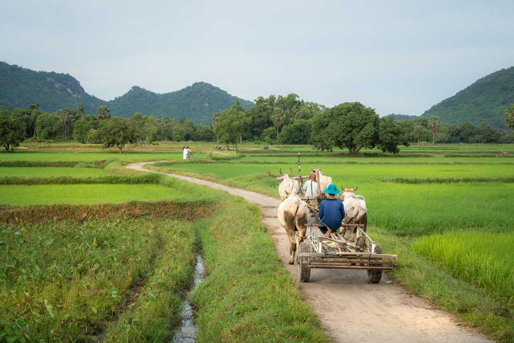 Route de campagne à Chau Doc, delta du Mékong, Vietnam,