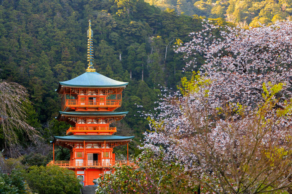 Sanctuaire Nachi Taisha