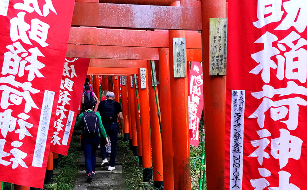 Sasuke Inari-jinja Sanctuaire shinto à Kamakura, Japon