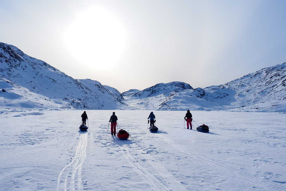 Ski Pulka au Groenland