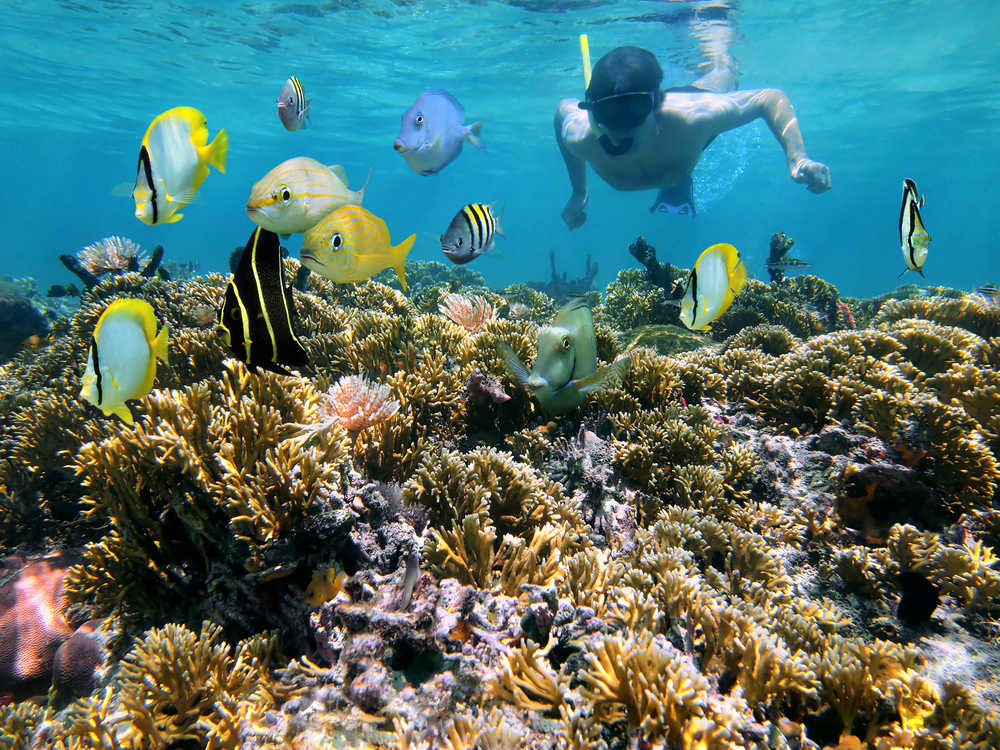 snorkeling à Sámara