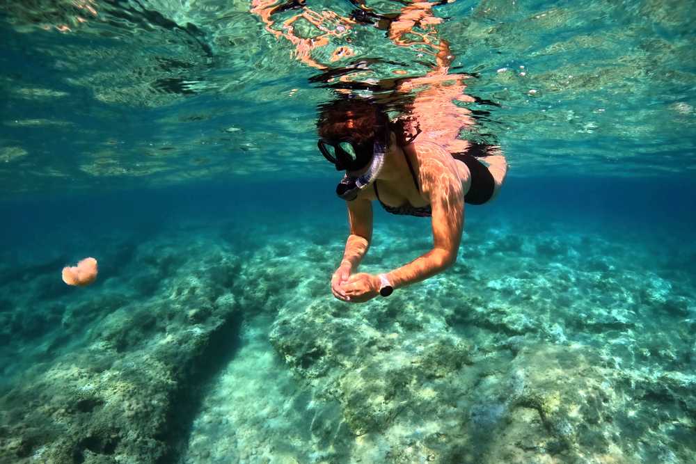Snorkeling Chalki plage Pontamos Grece