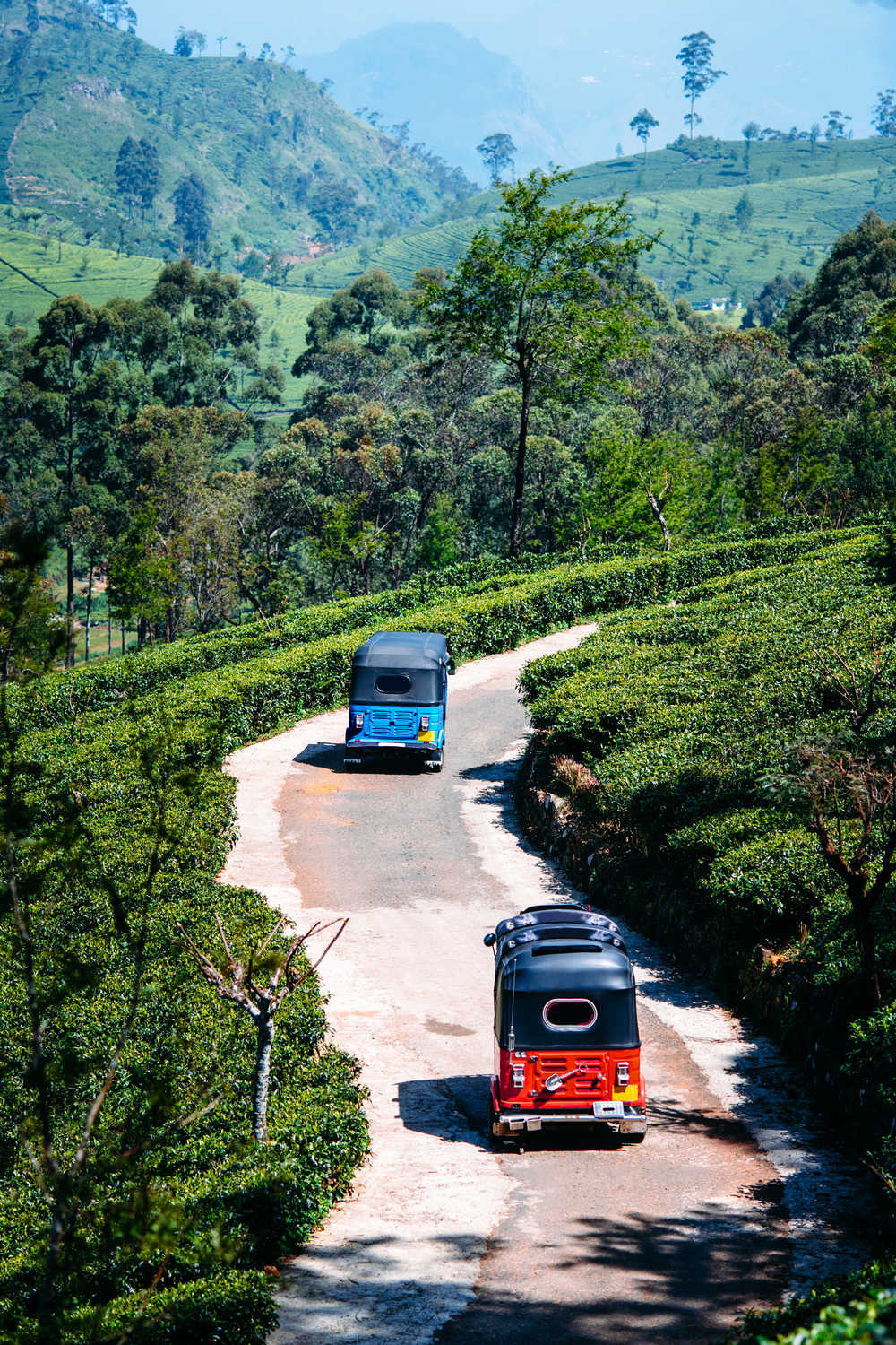 Sri Lanka balade en tuk tuk