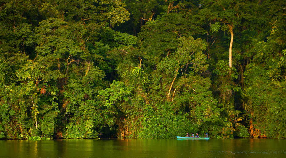 sur-les-canaux-de-tortuguero-carlos-munoz-juan