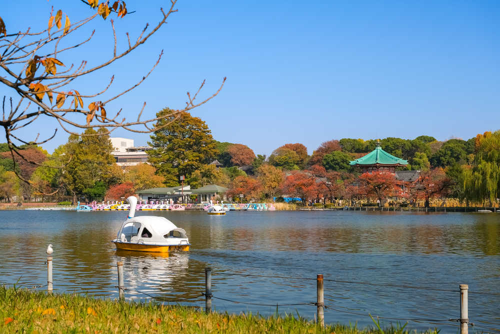 Tokyo lac Ueno