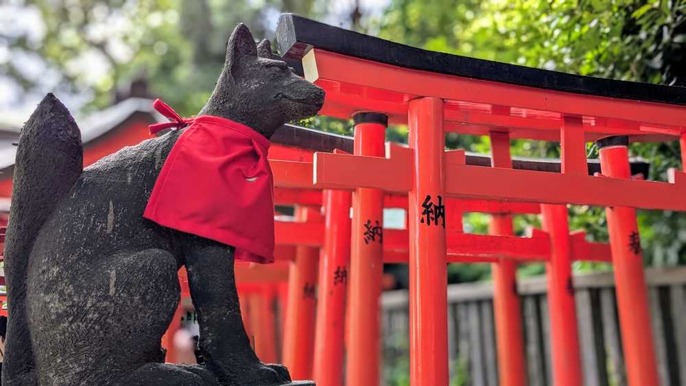 Tokyo Ueno Nezu-jingu