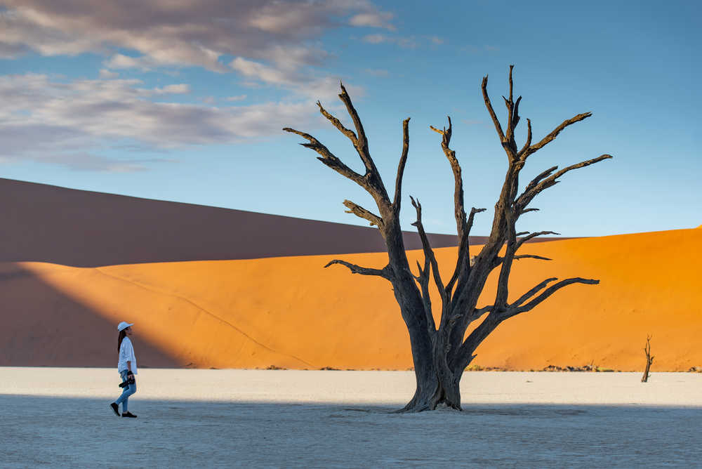 touriste près d'un arbre mort à Sossusvlei au lever du soleil, dans le désert du Namib en Namibie