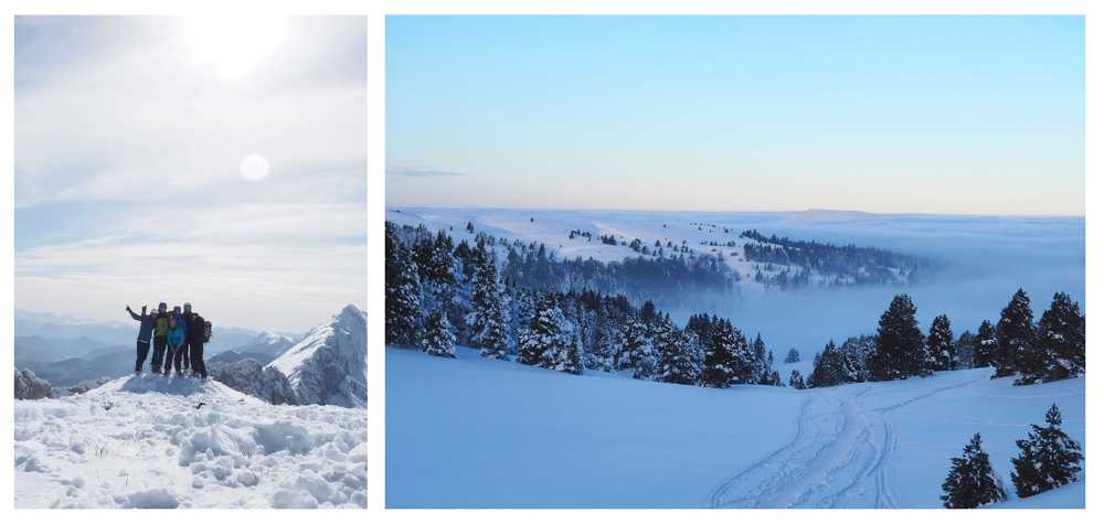 traineau-a-chien-vercors-en-france