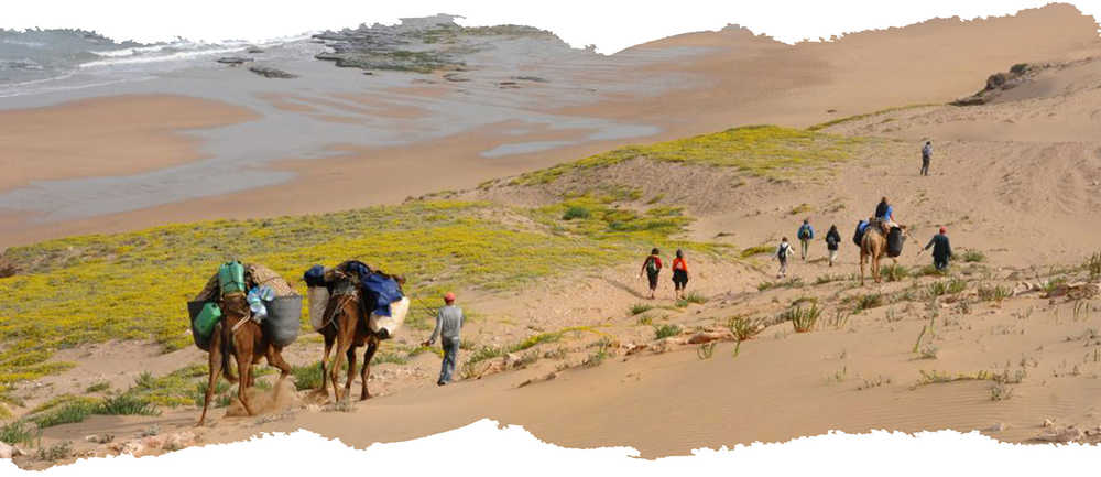 trek au Maroc avec des dromadaires porteurs