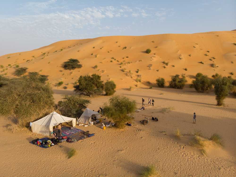 Trek dans le désert du Sahara