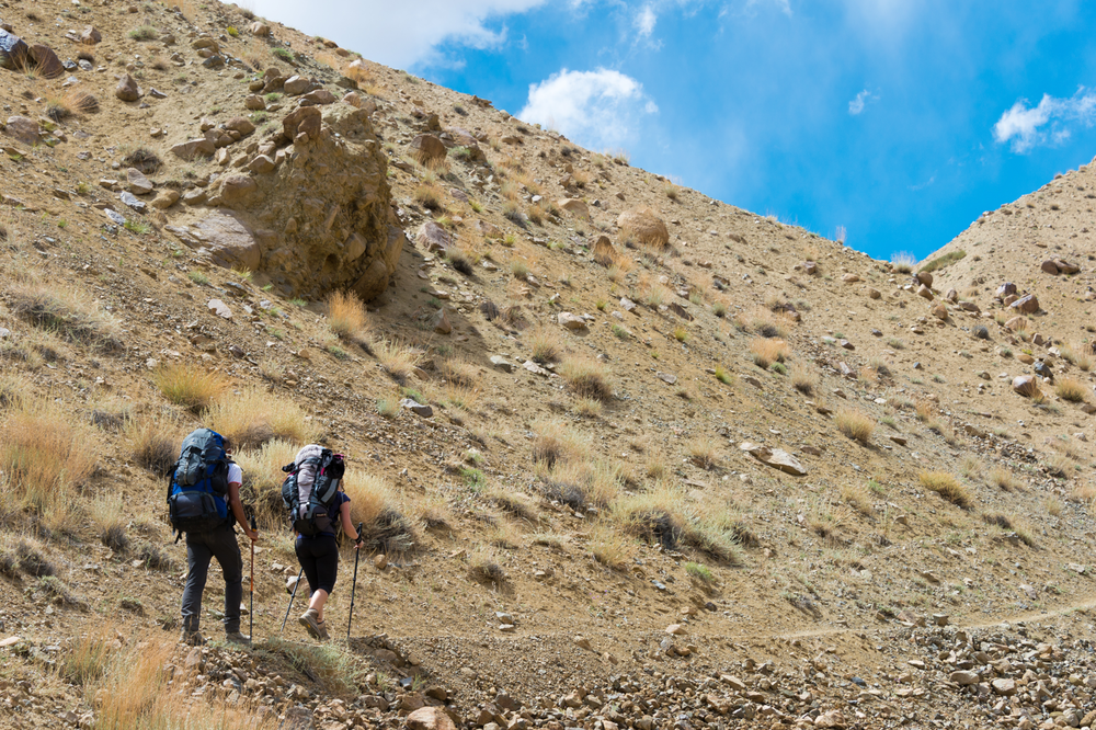 Trekker entre Likir et Yangtang dans la vallée de Sham, Ladakh, Jammu et Cachemire, Inde