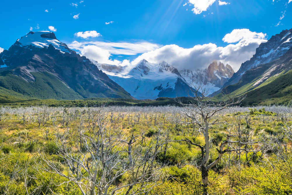 Trekking au Mont et au Lac Torre en Patagonie