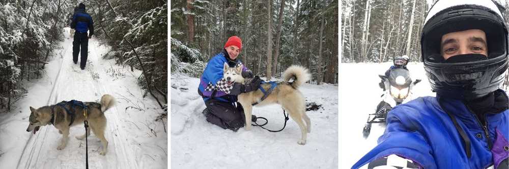 triptyque de photos du Québec avec les chiens de traineau et des randonneurs