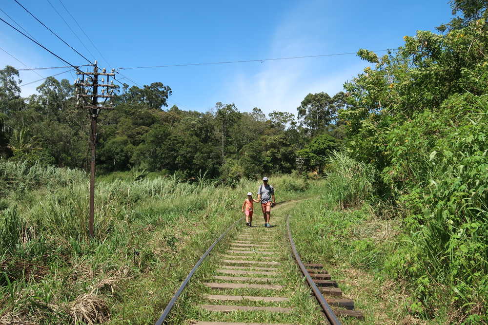 un père et son enfant en randonnée au Sri Lanka