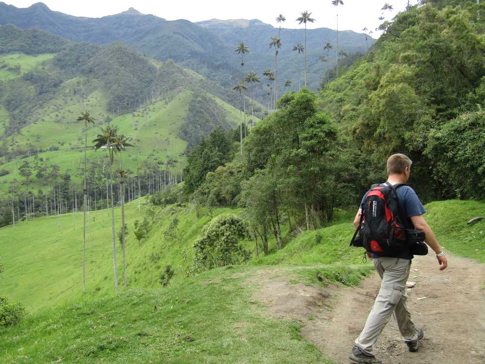 Valle de Cocora Parc national en Colombie