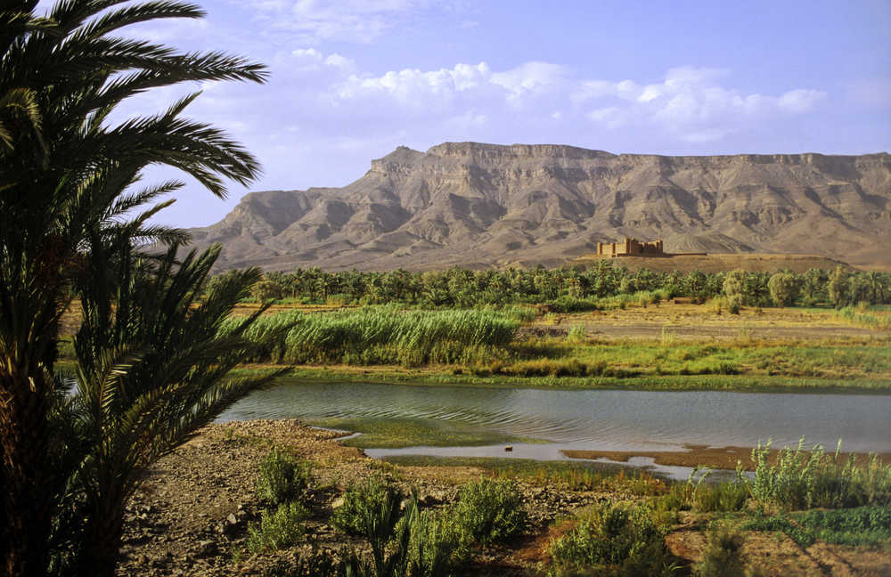 Vallée et fleuve de Drâa, Maroc