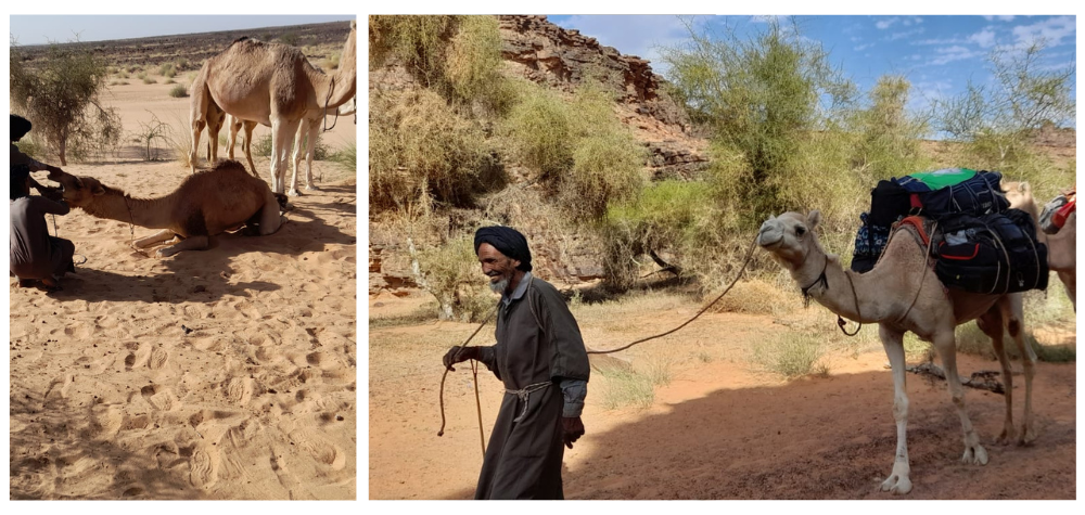 Voyage en Mauritanie avec Atalante
