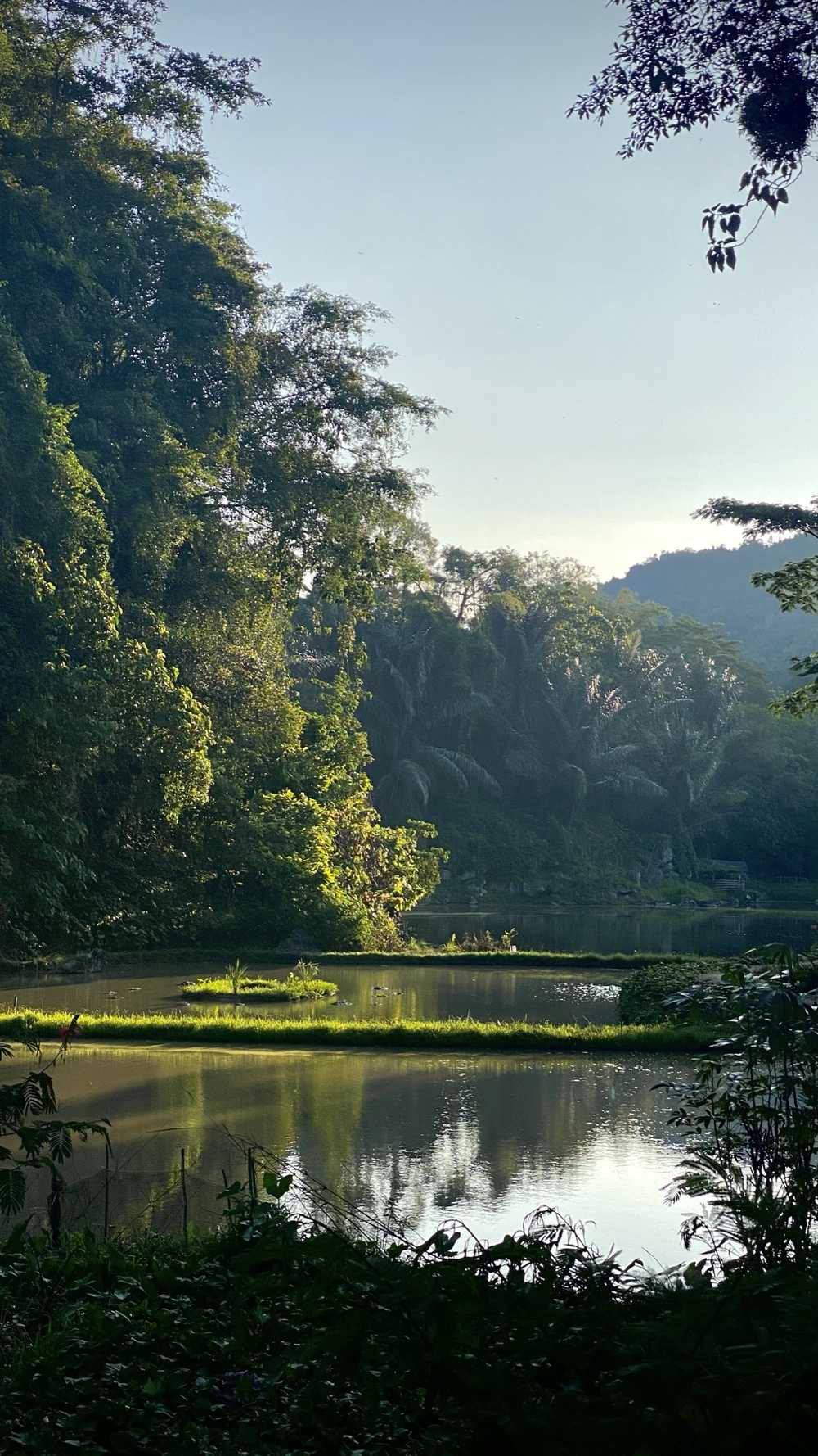 Voyage sulawesi jungle du pays Toraja