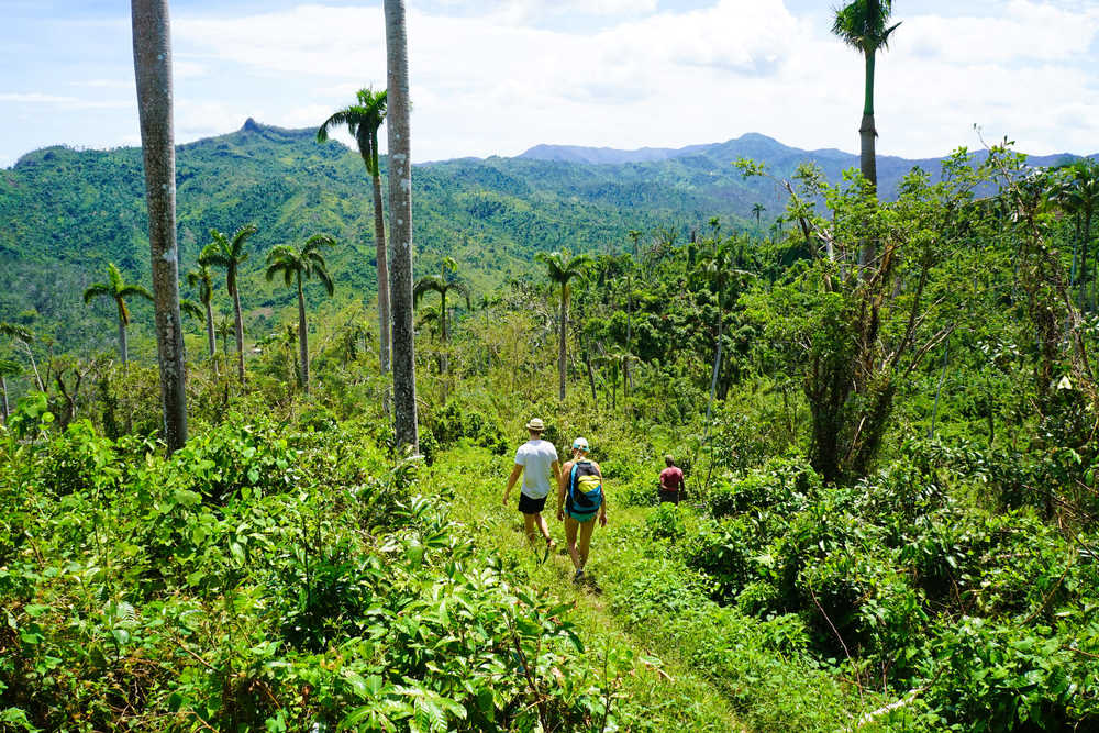 Voyageurs lors d'une randonnée pour la montagne Yunque à Cuba
