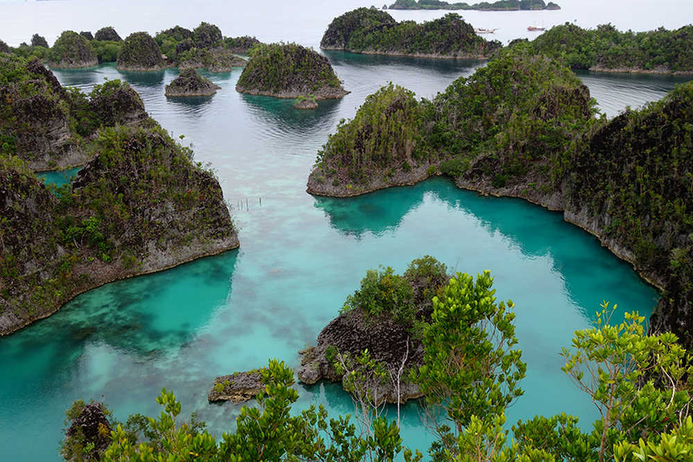 vue aérienne des îles penemu raja ampat en Indonésie