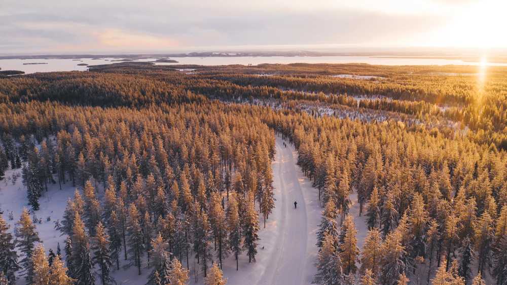 Vue aérienne des immensités laponnes en Finlande