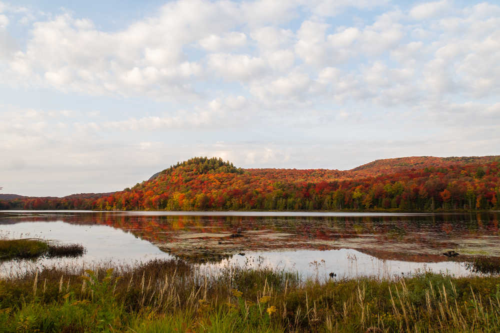 Vue automnale d'arbres se reflétant dans un lac du parc national du Mont-Orford, Canada