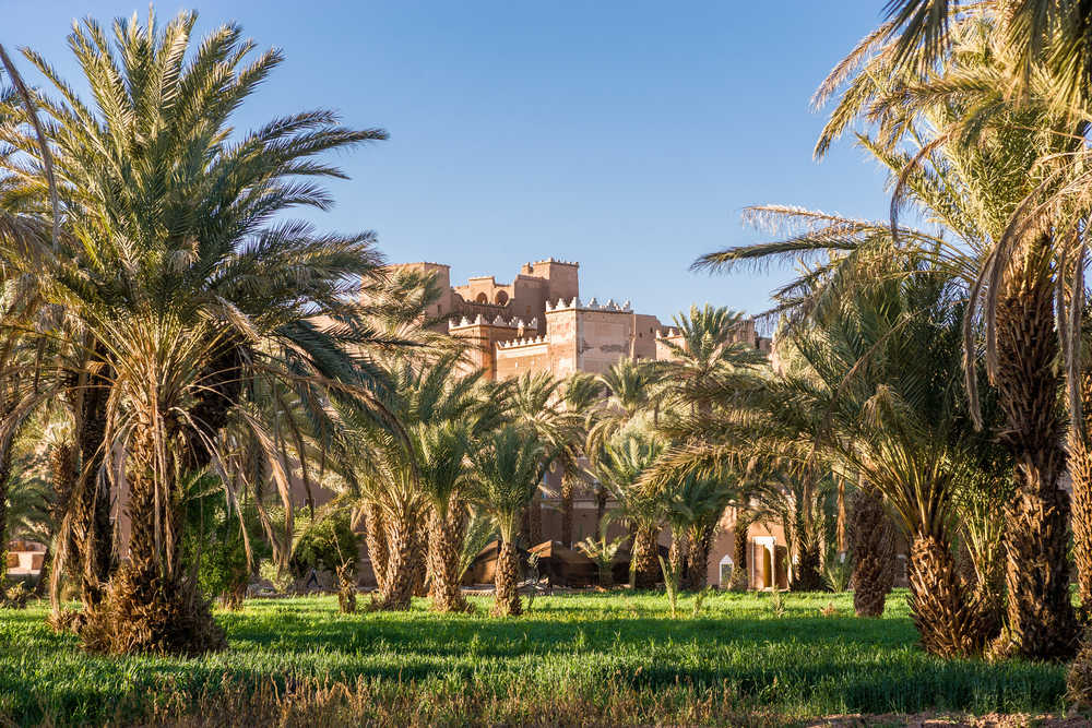 Vue du château derrière les palmiers à Agdz, Maroc