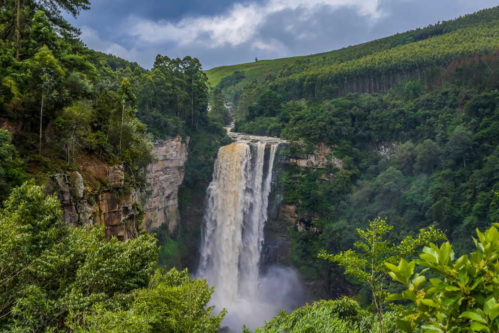 Vue grand angle sur l'immense cascade de la forêt KwaZulu-Natal