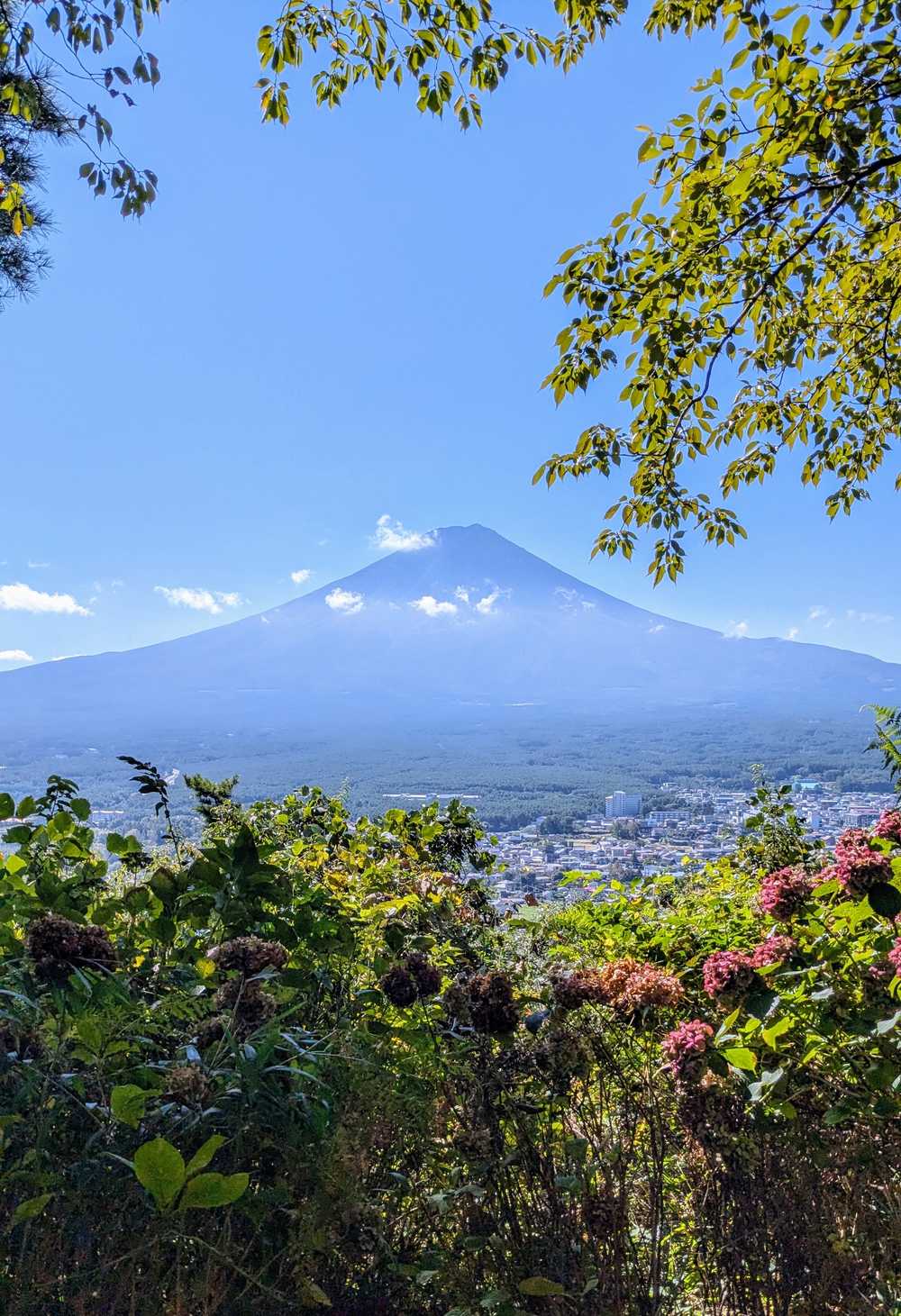 Vue panoramique sur le mont Fuji