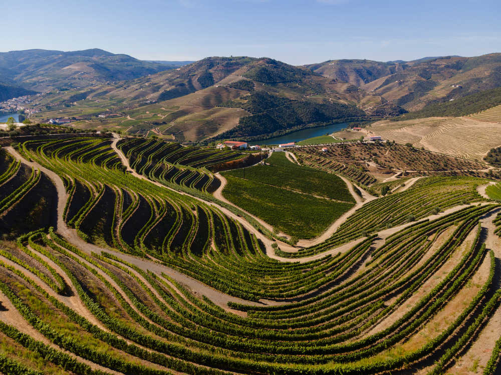 Vue panoramique sur les domaines viticoles en terrasse de la vallée du Douro au Portugal