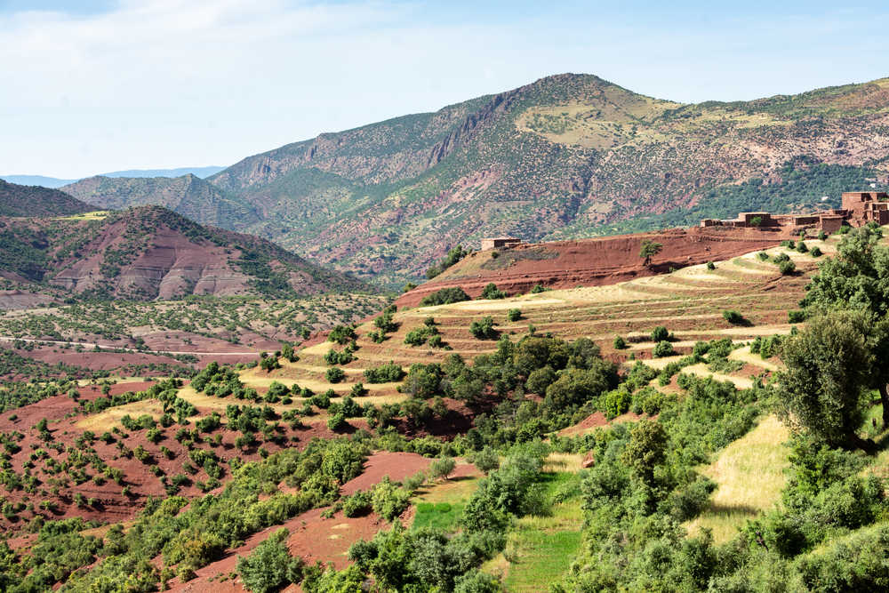 Vue sur des cultures en terrasses vallée de Ait Bougmez au Maroc