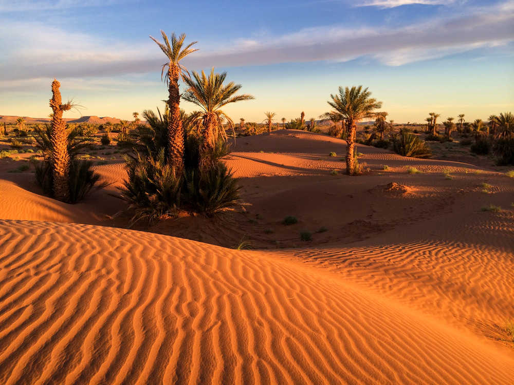 Vue sur le désert du Maroc et la vallée du Draa
