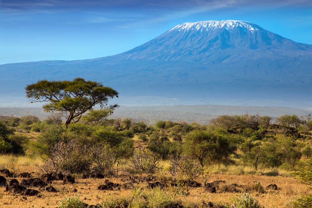 Vue sur le Kilimandjaro en Tanzanie