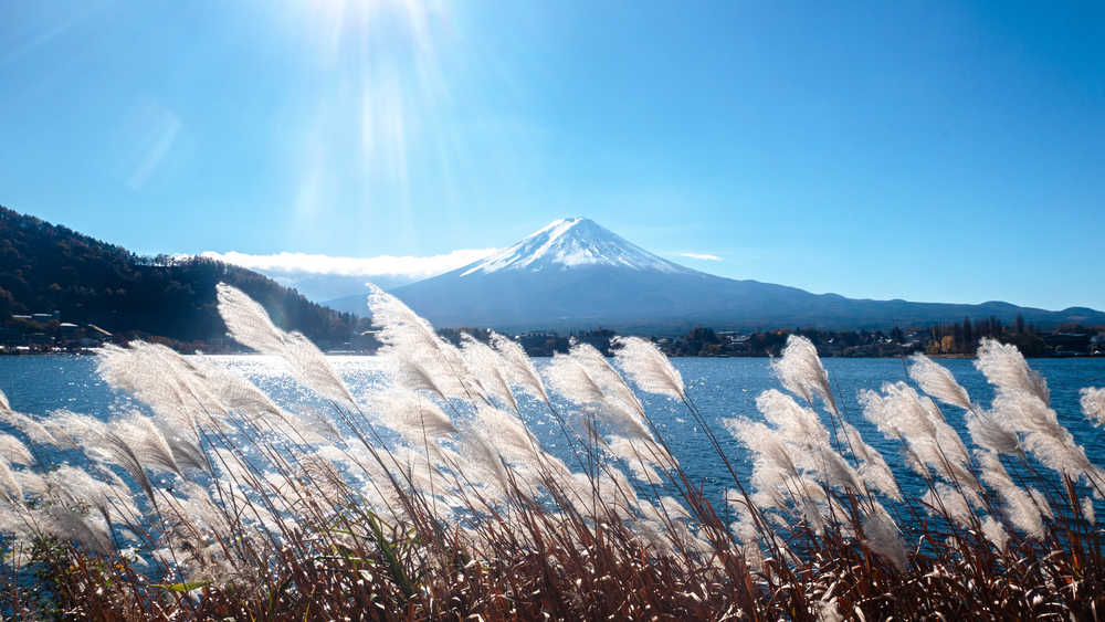 Vue sur le mont Fuji au bord du lac Sai, Kawaguchiko, Japon
