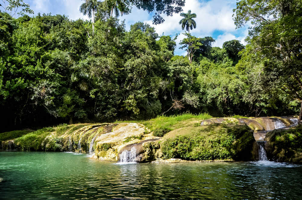 vue sur le parc las terrazas de Cuba