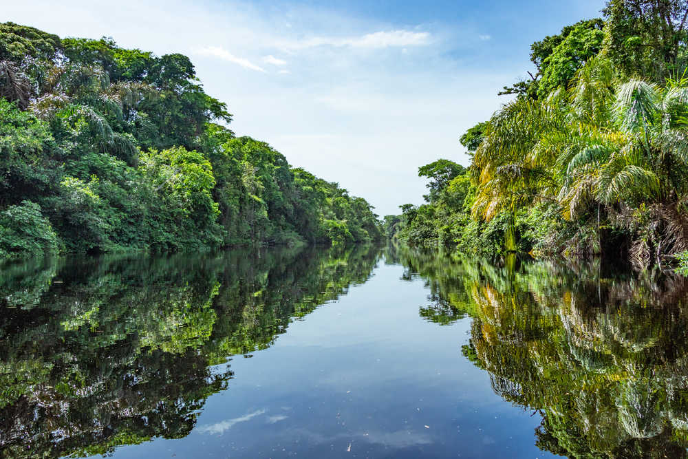 Vue sur les canaux de Tortuguero au Costa Rica