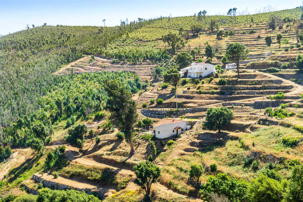 Vue sur les cultures en terrasses de la Sierre de Monchique au Portugal
