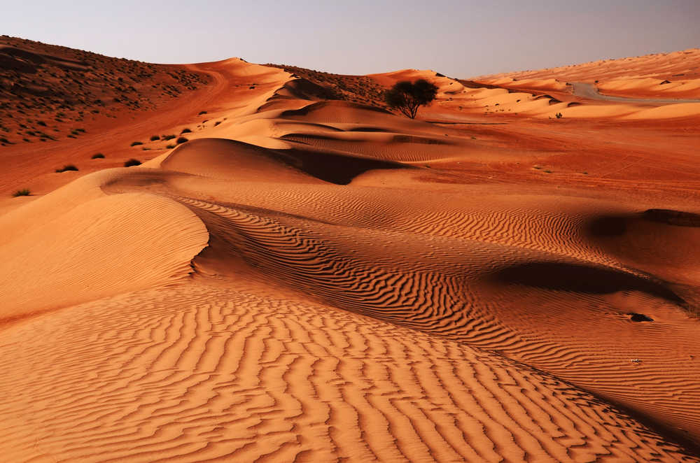 Vue sur les dunes du Désert du Wahiba Sand à Oman