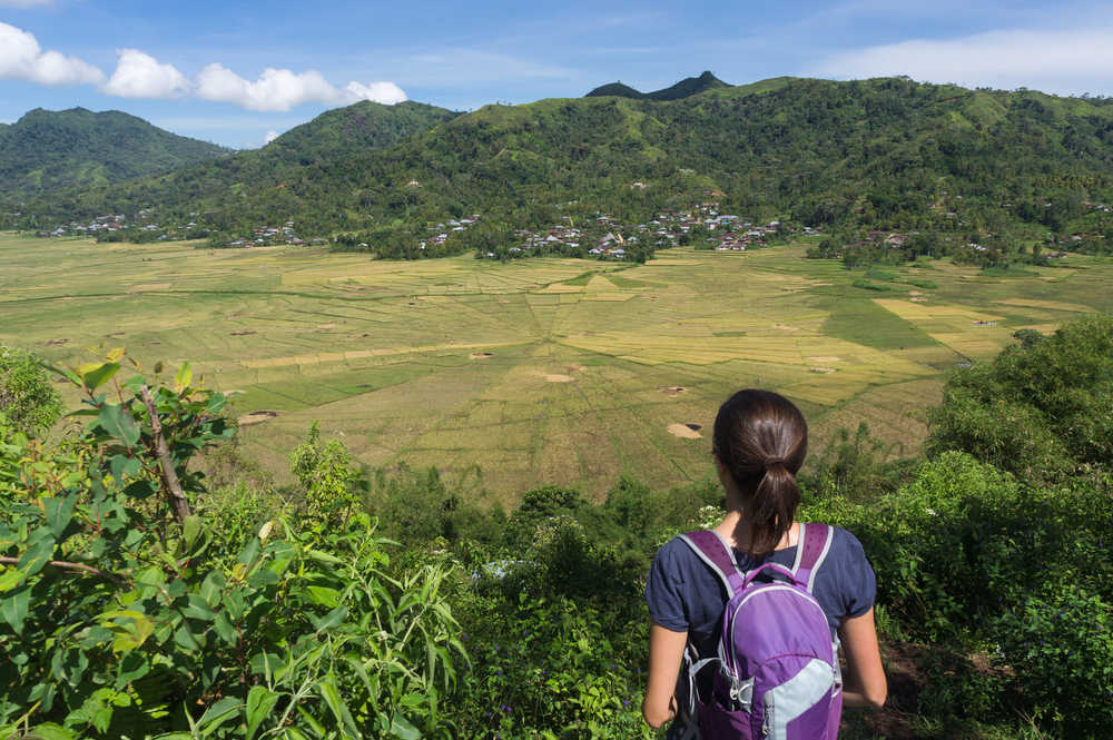 Vue sur les rizières de Cancar en Indonésie