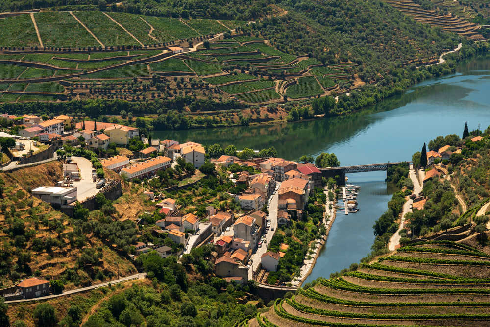 Vue sur les vignes de la Vallée du Douro depuis Pinhão au Portugal