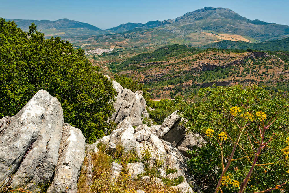 Zone montagneuse du parc naturel Sierra de las Nieves, Espagne