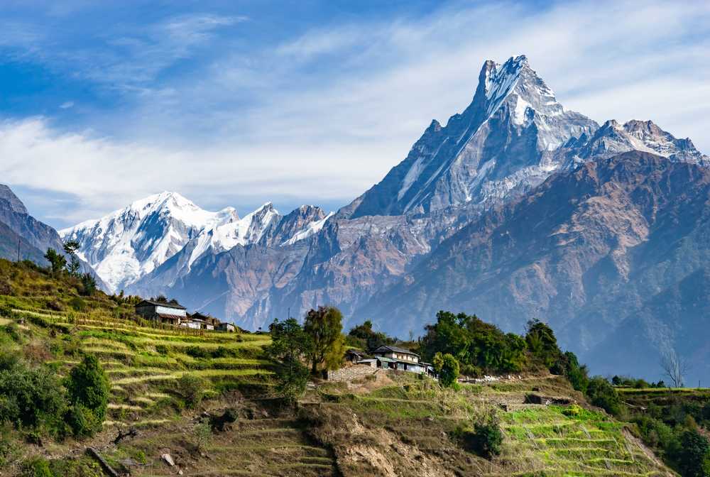 Cultures en terrasses devant l'Annapurna