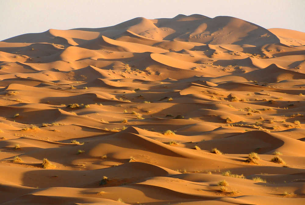 Dunes de Merzouga, erg Chebbi au Maroc