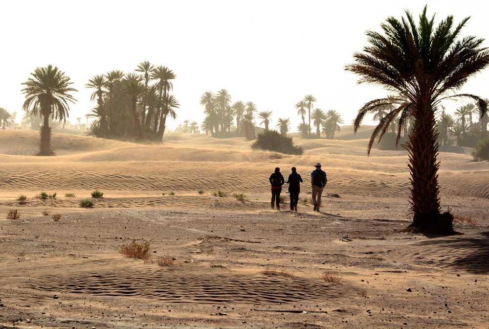 Marcheurs dans le désert de Nesrate, Maroc