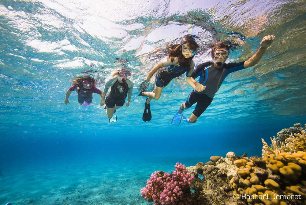 Une croisière snorkeling en Egypte : des souvenirs inoubliables pour toute la famille !