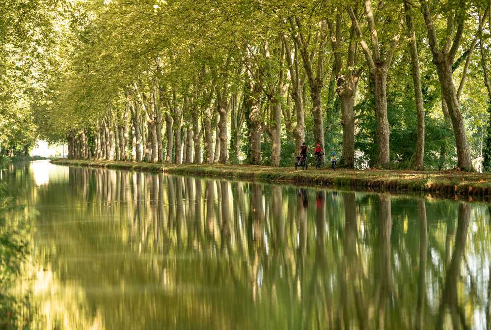 Vélo au bord du canal du Midi