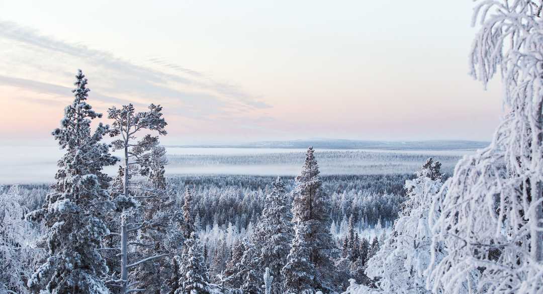 Paysage de Finlande l'hiver - © Vojtovicova Maria Paysage de Finlande l'hiver, Laponie