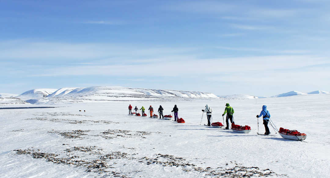 Croisières Polaires En Arctique Et Antarctique 66 Nord - 