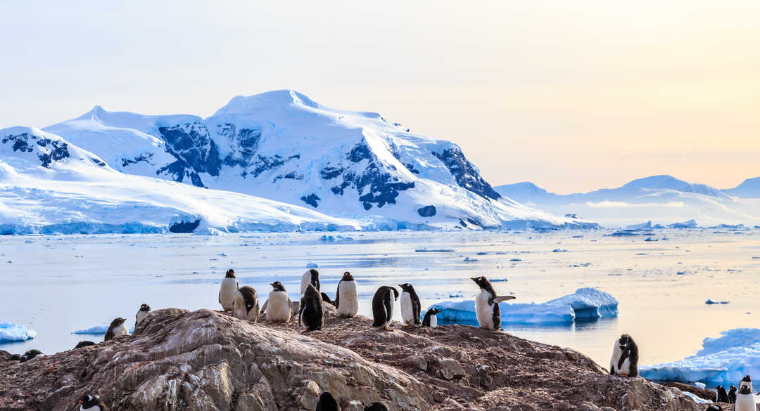 Voyage en Antarctique