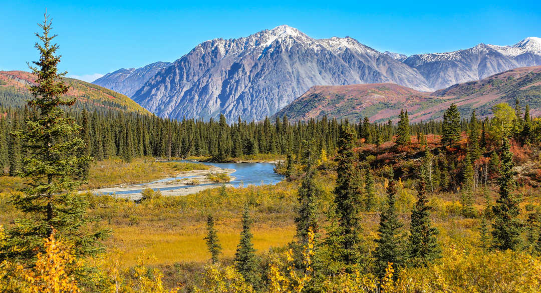 Voyage l'été en Alaska - © Shutter Stock Voyage l'été en Alaska